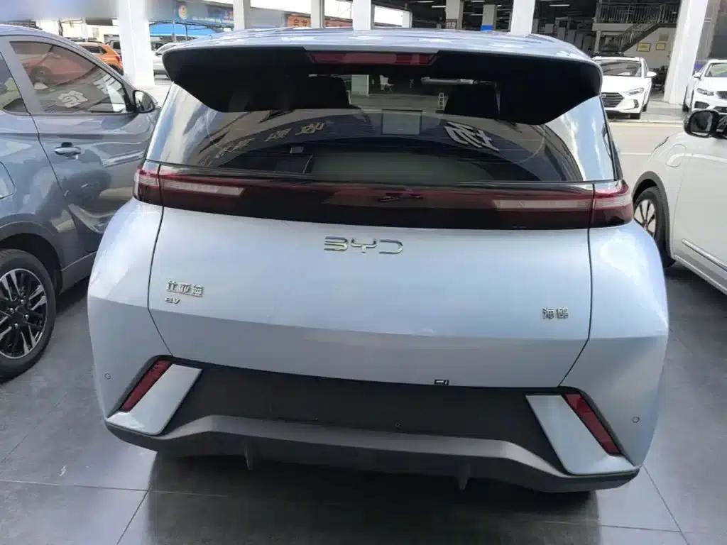 Seagull 2025 305km Freedom Edition — миниатюра 6