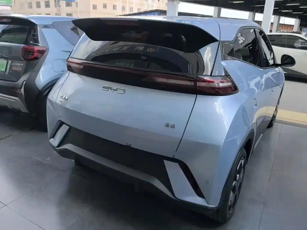 Seagull 2025 305km Freedom Edition — миниатюра 7