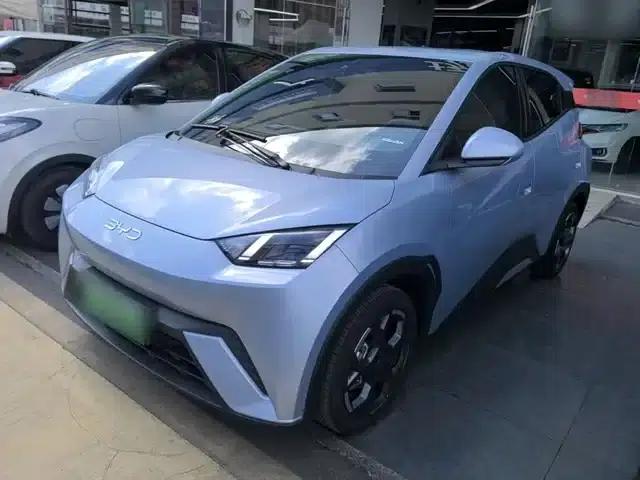 Seagull 2025 305km Freedom Edition