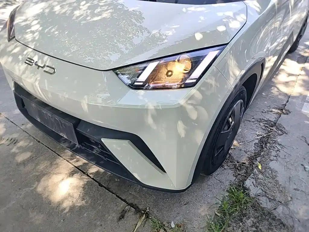 Seagull 2024 Glory Edition 305km/h Vitality Edition — миниатюра 24