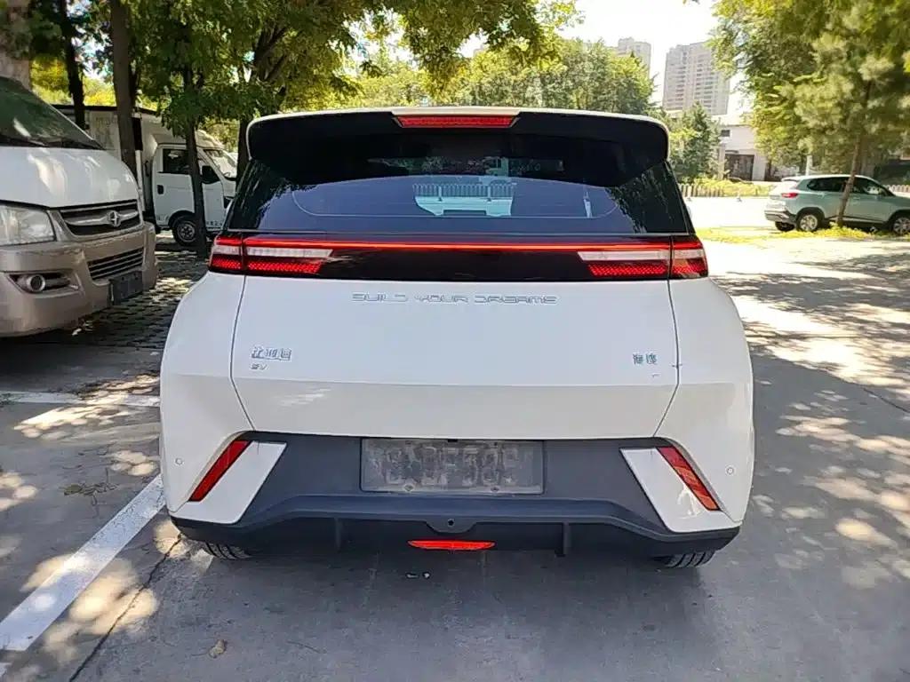 Seagull 2024 Glory Edition 305km/h Vitality Edition — миниатюра 6