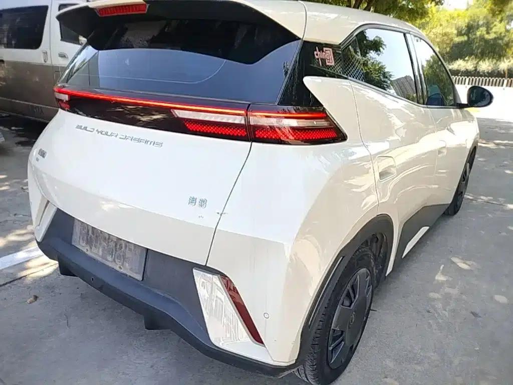 Seagull 2024 Glory Edition 305km/h Vitality Edition — миниатюра 8