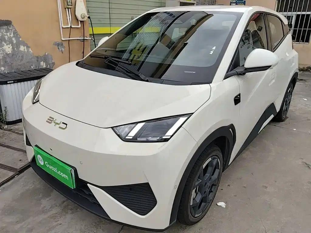 Seagull 2025 Smart Driving Edition 305km Freedom Edition — миниатюра 1