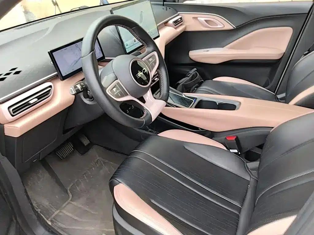 Seagull 2025 Smart Driving Edition 305km Freedom Edition — миниатюра 11