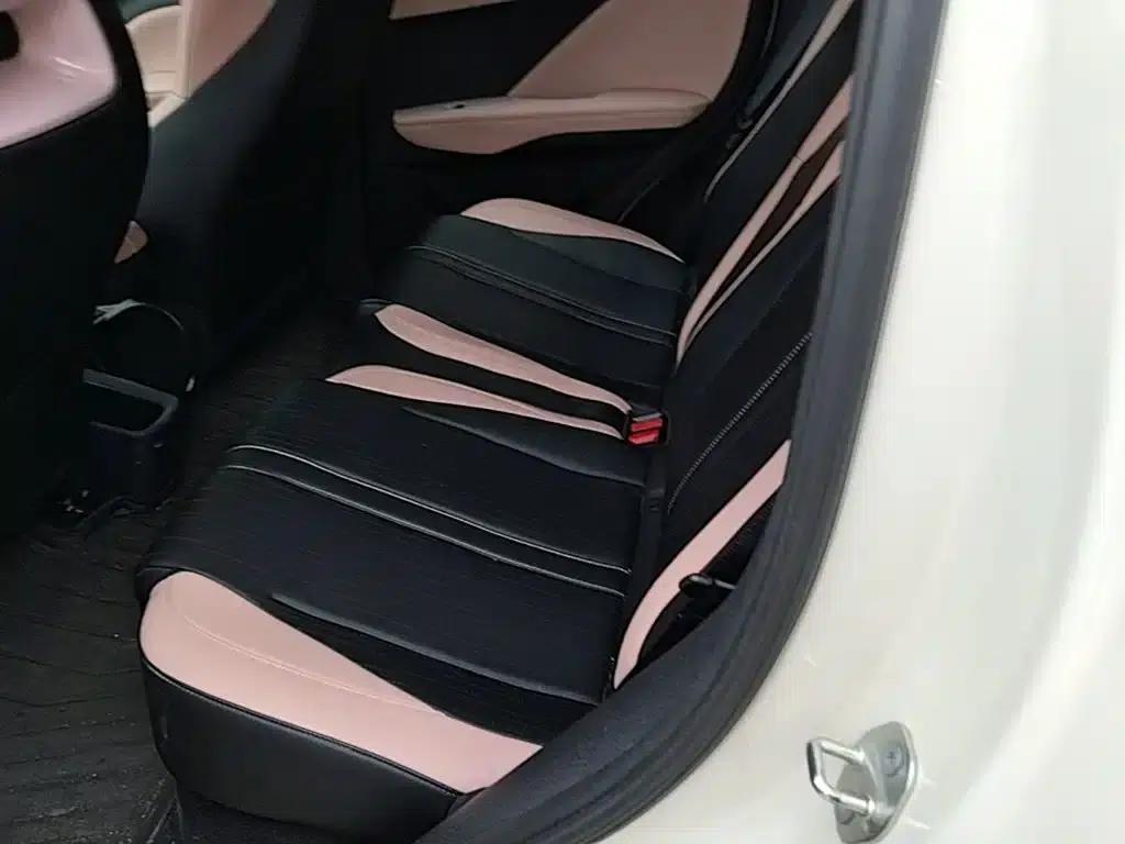Seagull 2025 Smart Driving Edition 305km Freedom Edition — миниатюра 13