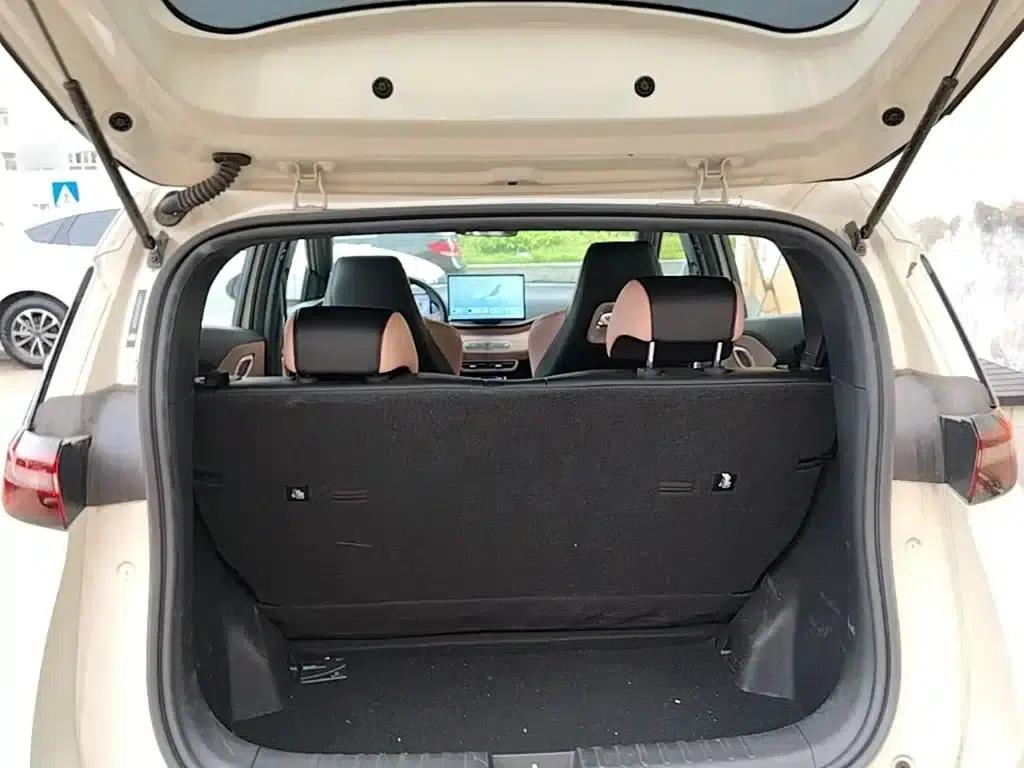 Seagull 2025 Smart Driving Edition 305km Freedom Edition — миниатюра 15