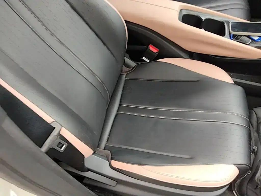 Seagull 2025 Smart Driving Edition 305km Freedom Edition — миниатюра 20