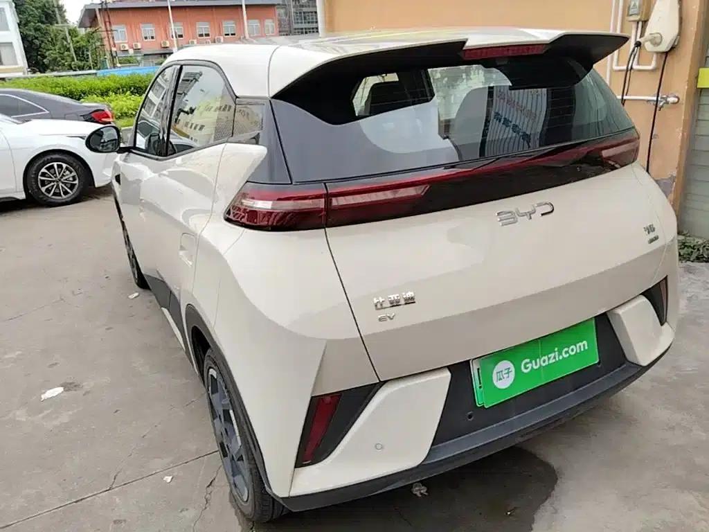 Seagull 2025 Smart Driving Edition 305km Freedom Edition — миниатюра 23