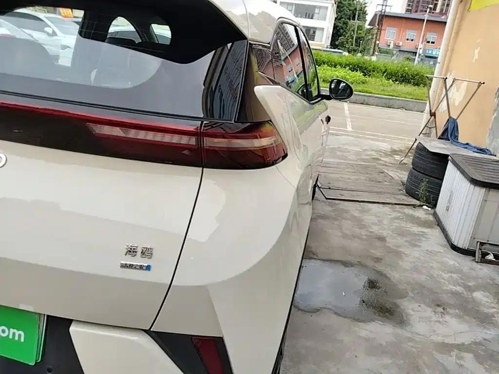 Seagull 2025 Smart Driving Edition 305km Freedom Edition — миниатюра 24