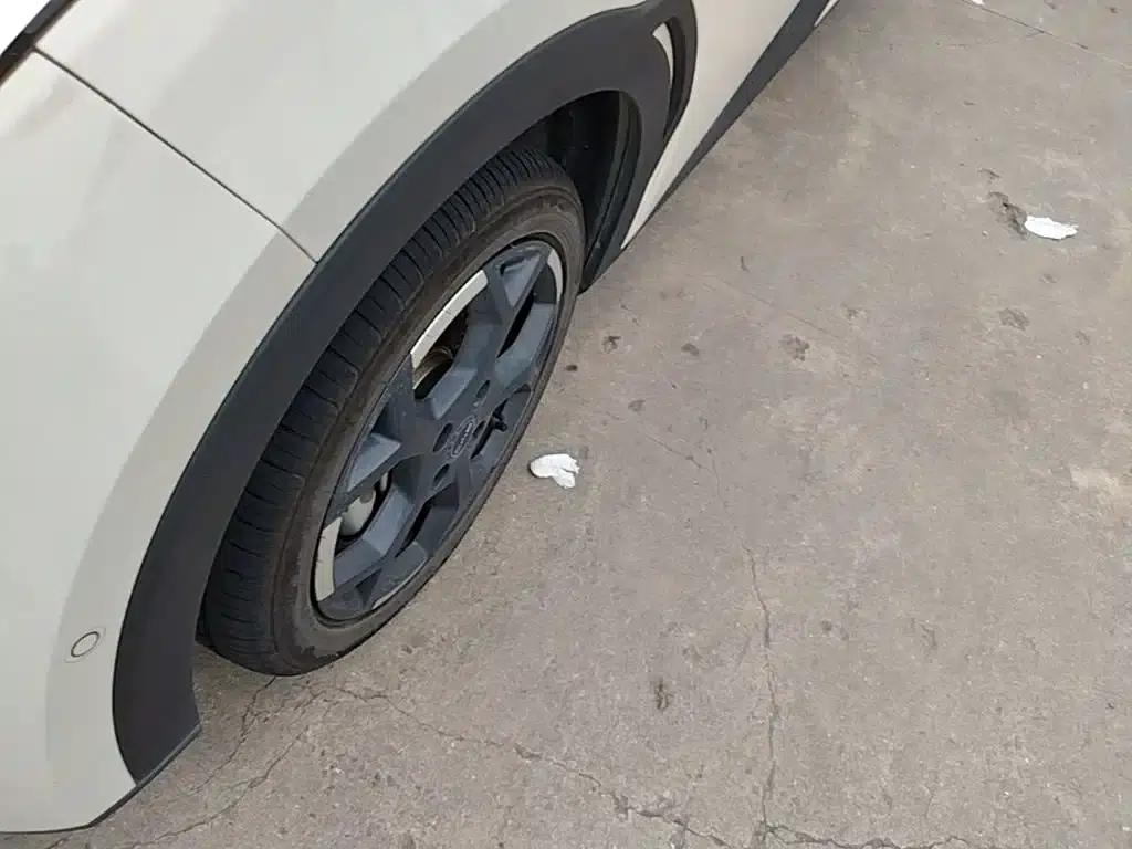 Seagull 2025 Smart Driving Edition 305km Freedom Edition — миниатюра 25
