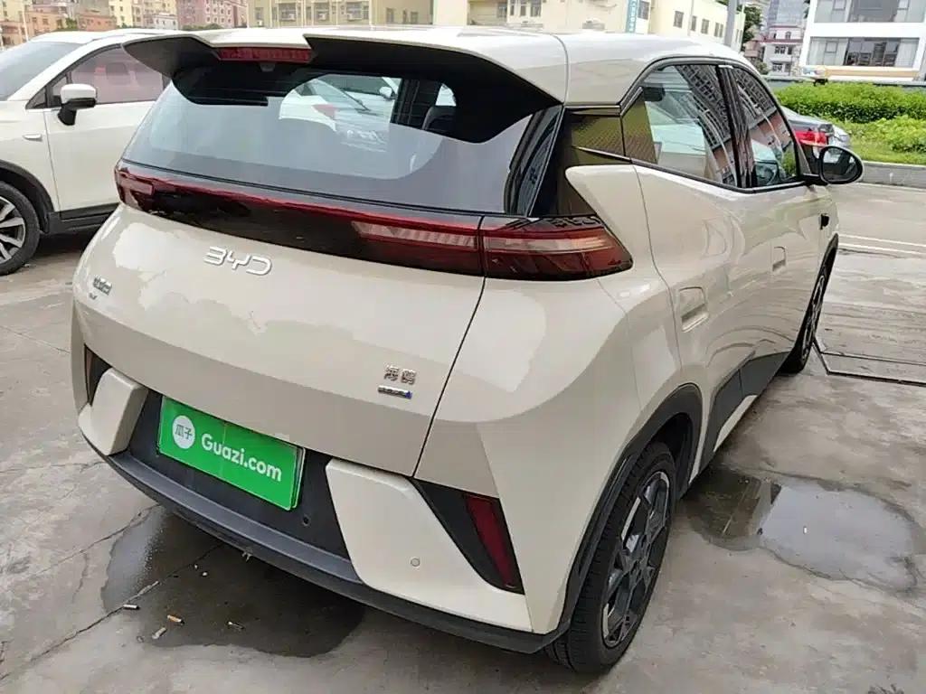 Seagull 2025 Smart Driving Edition 305km Freedom Edition — миниатюра 5