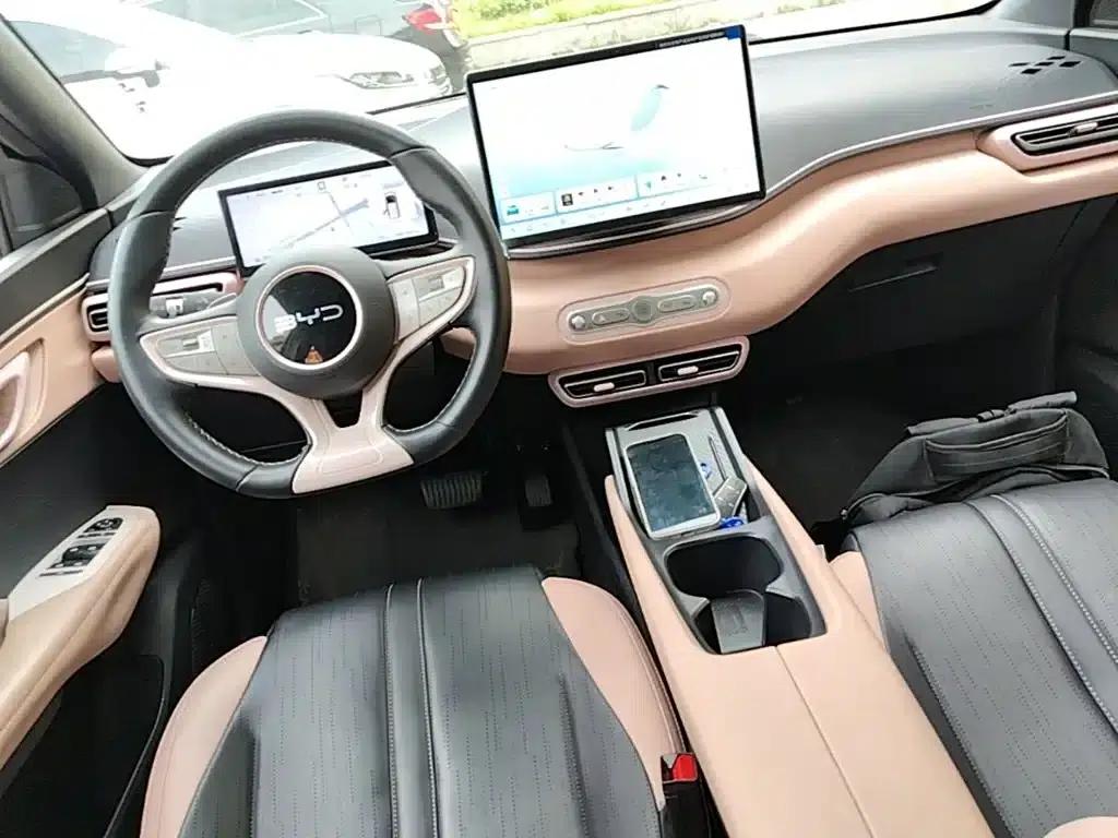 Seagull 2025 Smart Driving Edition 305km Freedom Edition — миниатюра 6