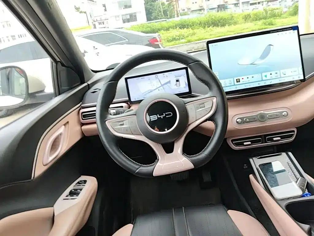 Seagull 2025 Smart Driving Edition 305km Freedom Edition — миниатюра 7