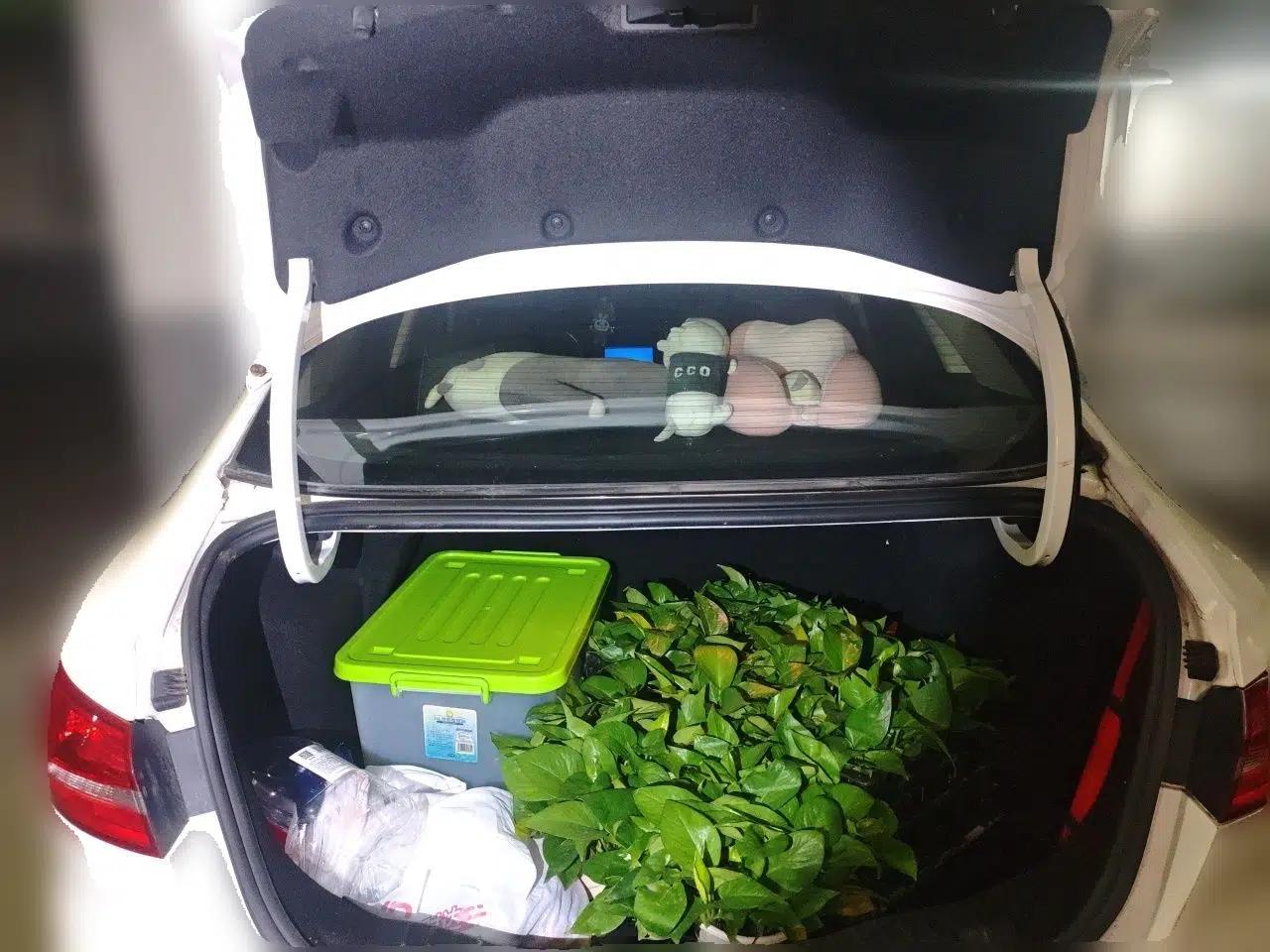 Ford Escort 2015 1.5L Automatic Fashion Model — миниатюра 16