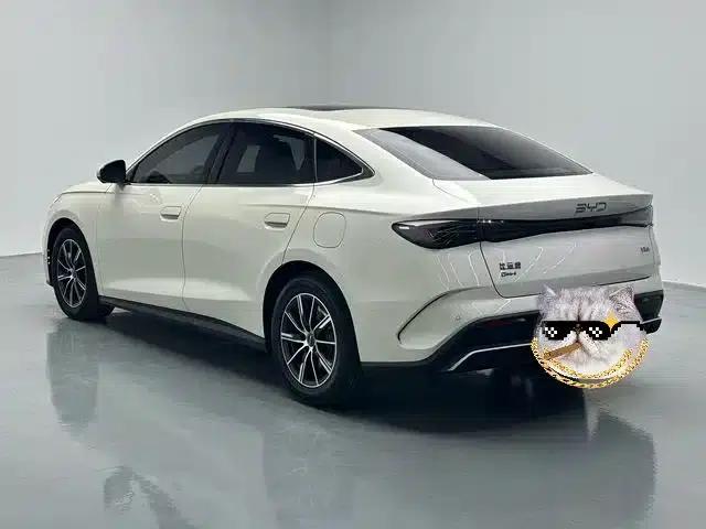 Seal 06 2024 DM-i 120KM Premium Edition — миниатюра 14