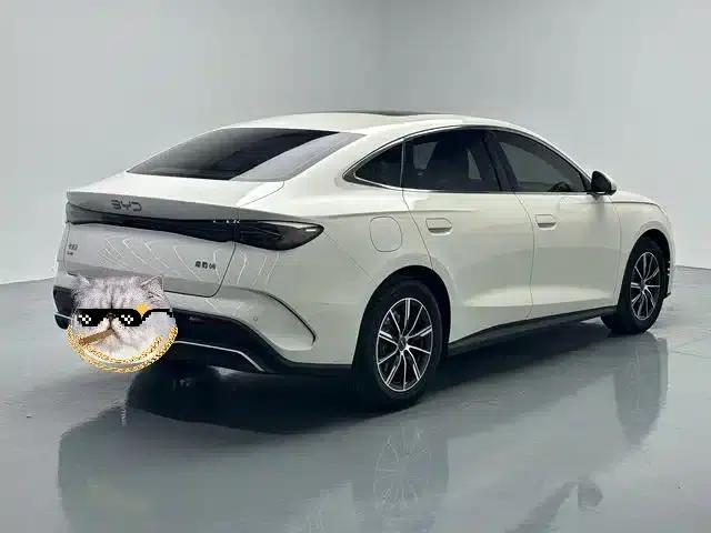 Seal 06 2024 DM-i 120KM Premium Edition — миниатюра 16