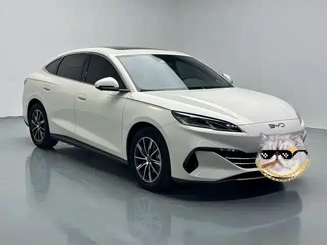 Seal 06 2024 DM-i 120KM Premium Edition — миниатюра 3