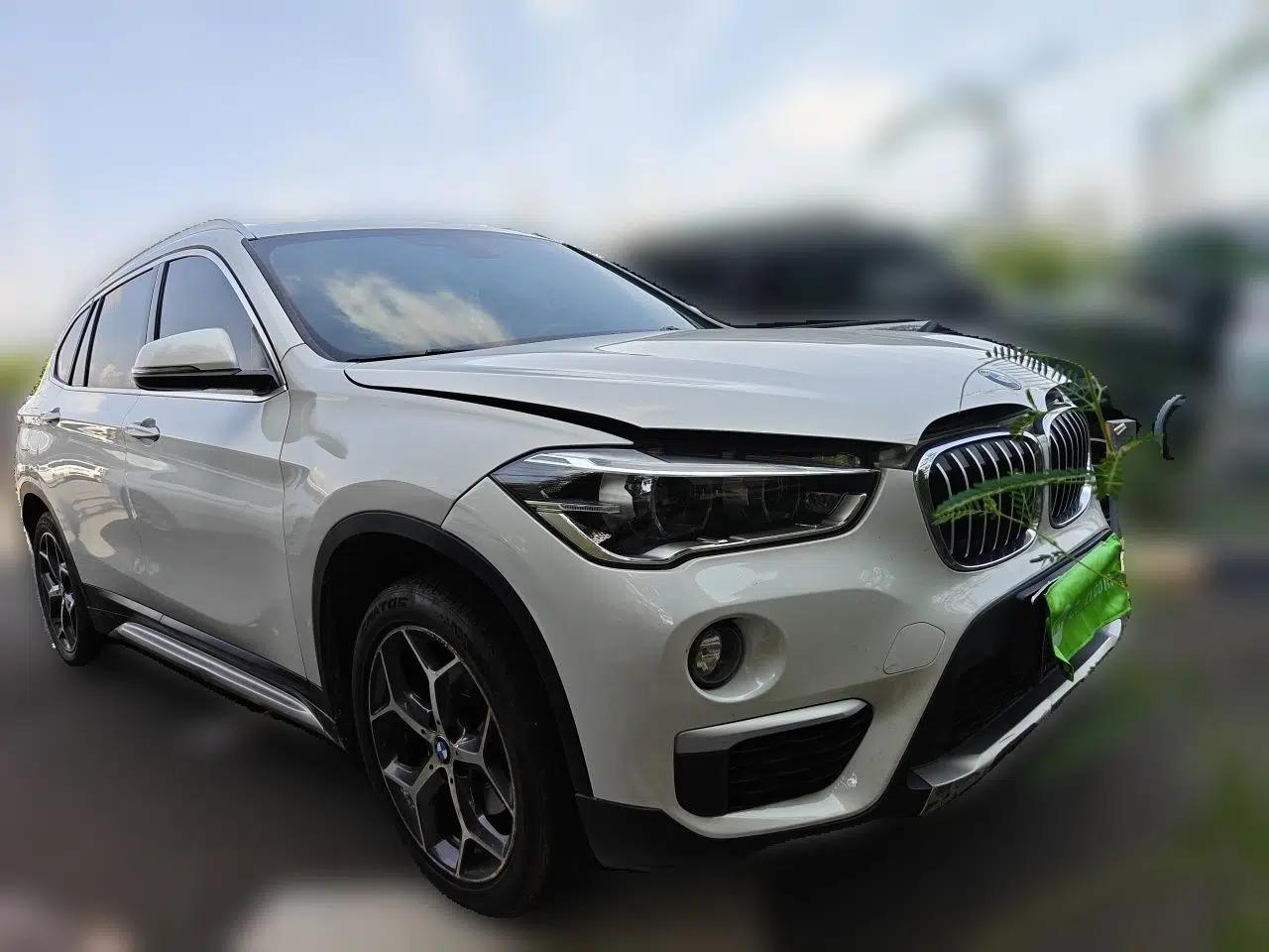 BMW X1 2018 sDrive18Li Luxury Model — миниатюра 3