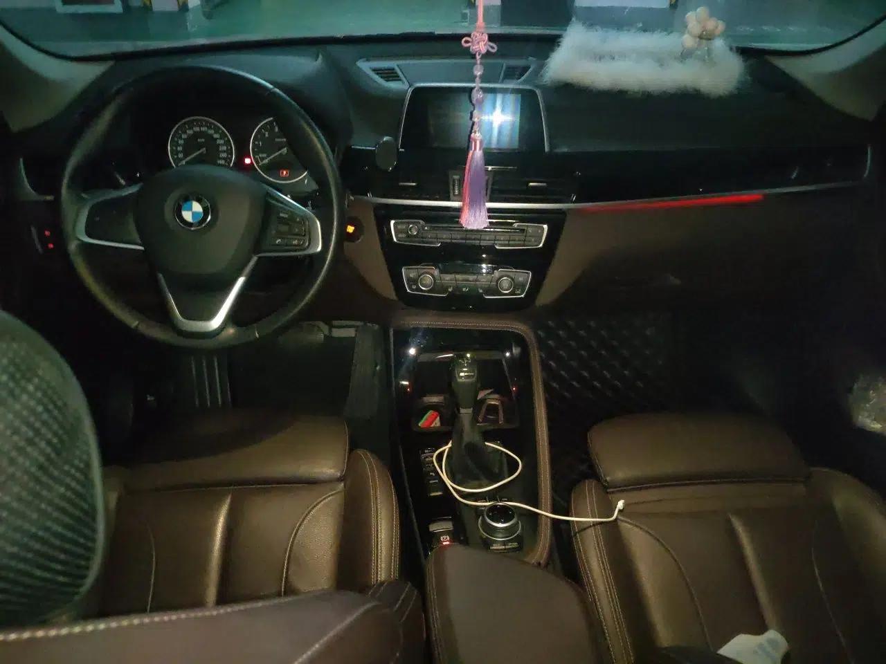 BMW X1 New Energy 2018 xDrive25Le Luxury Model — миниатюра 9