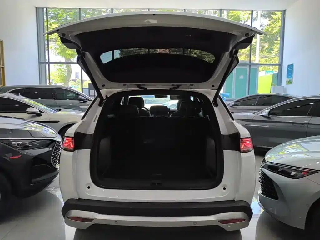 Song L DM-i 2025 Smart Driving Edition 112km/h Superior Model — миниатюра 19