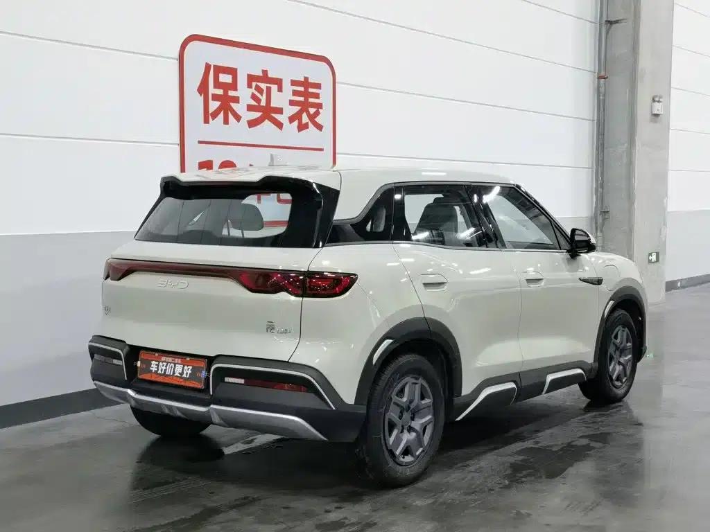 Yuan UP 2024 Model 401KM Vitality Edition — миниатюра 2