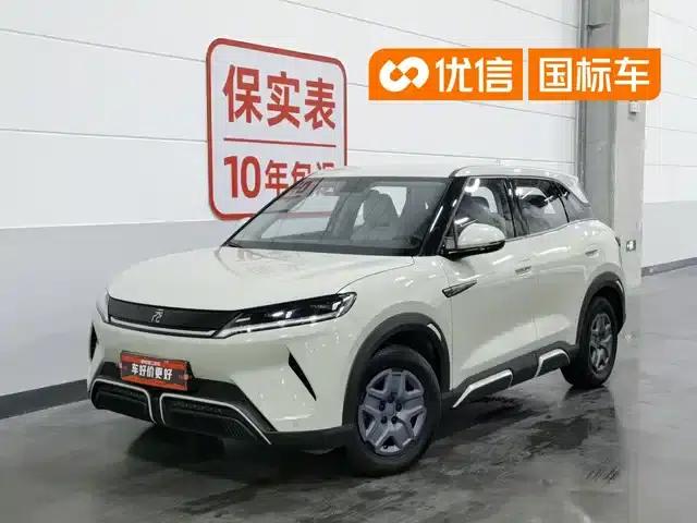Yuan UP 2024 Model 401KM Vitality Edition