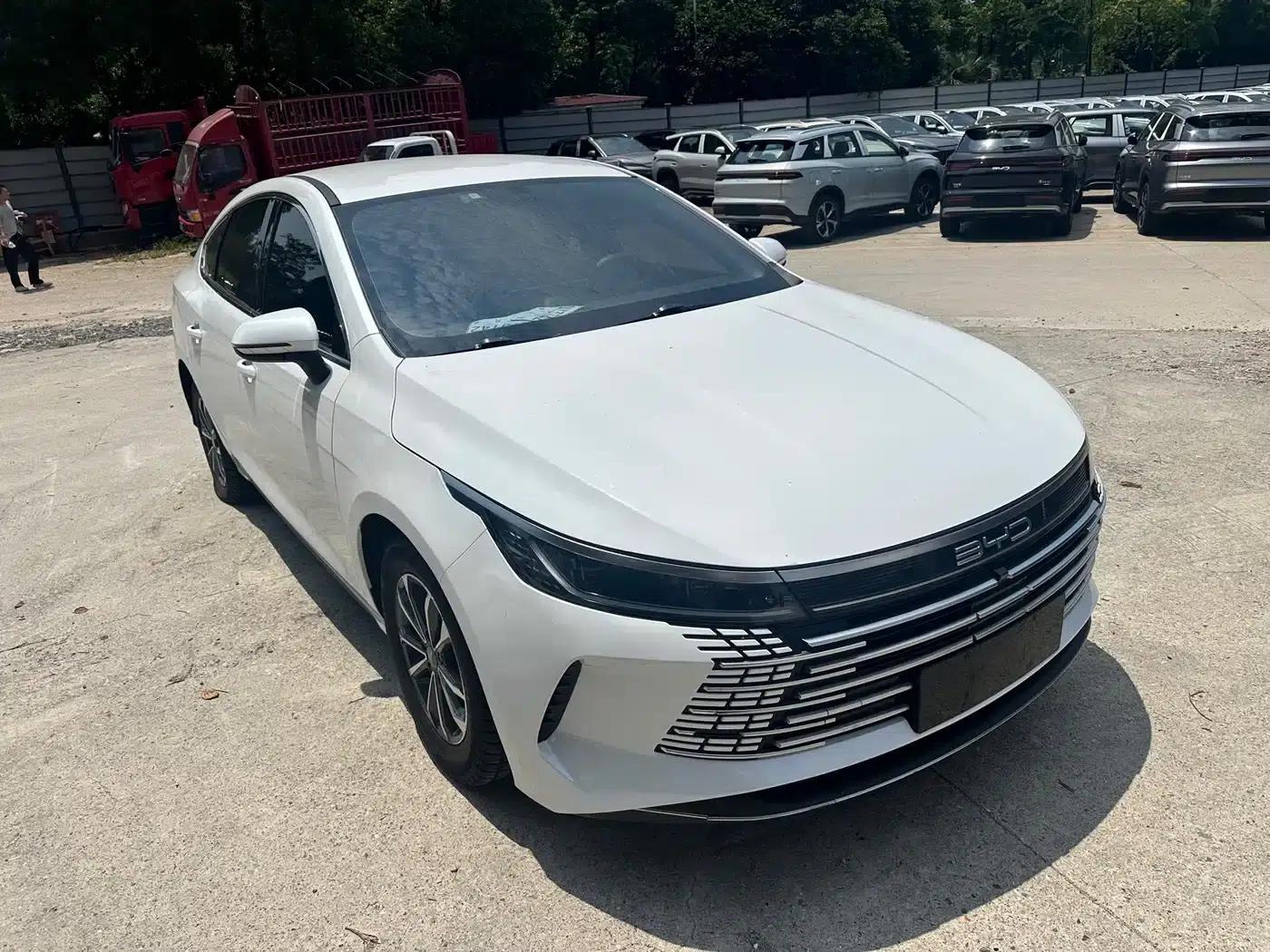 Destroyer 05 2023 Champion Edition DM-i 55KM Luxury — миниатюра 2