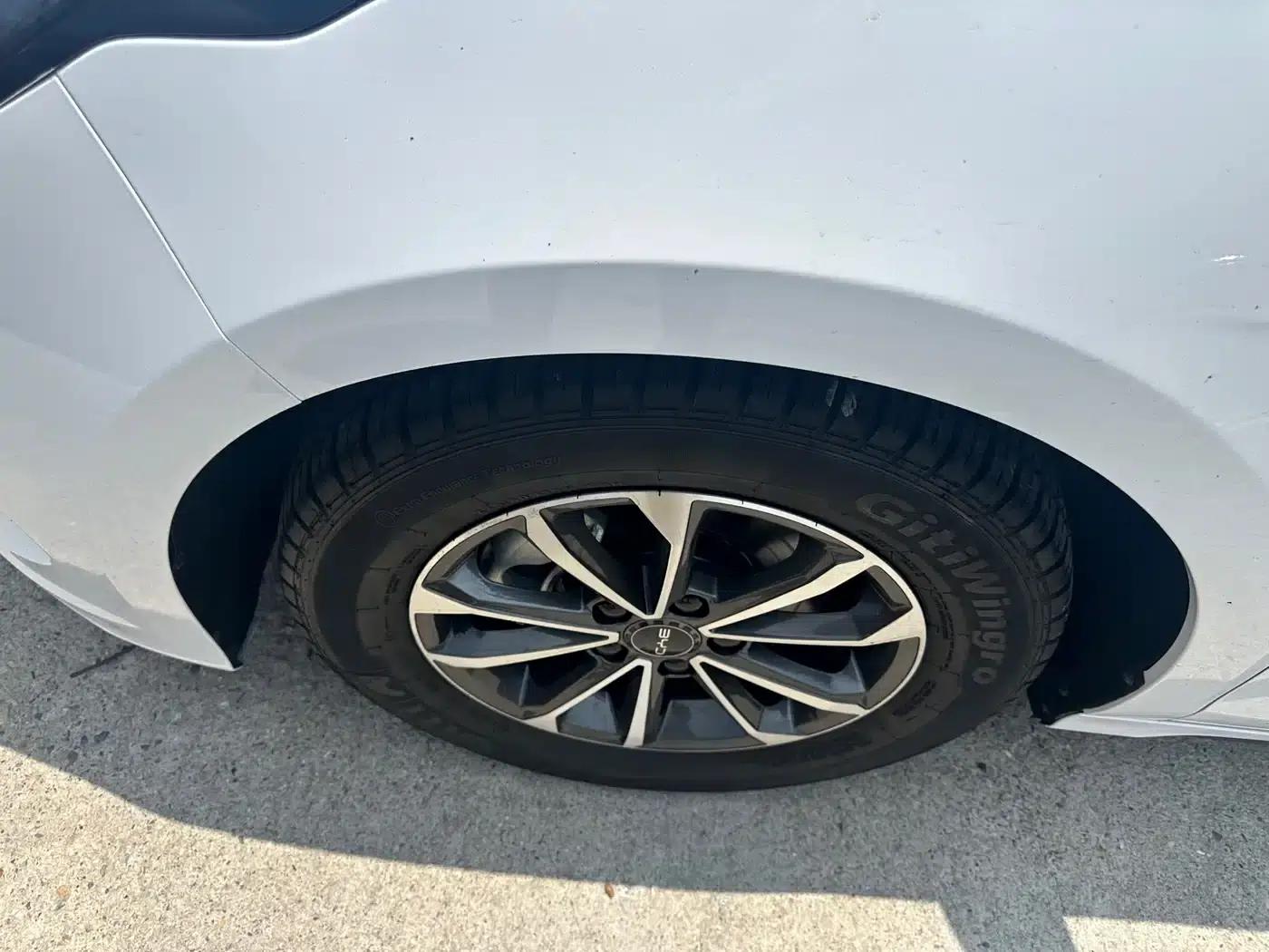 Destroyer 05 2023 Champion Edition DM-i 55KM Luxury — миниатюра 4