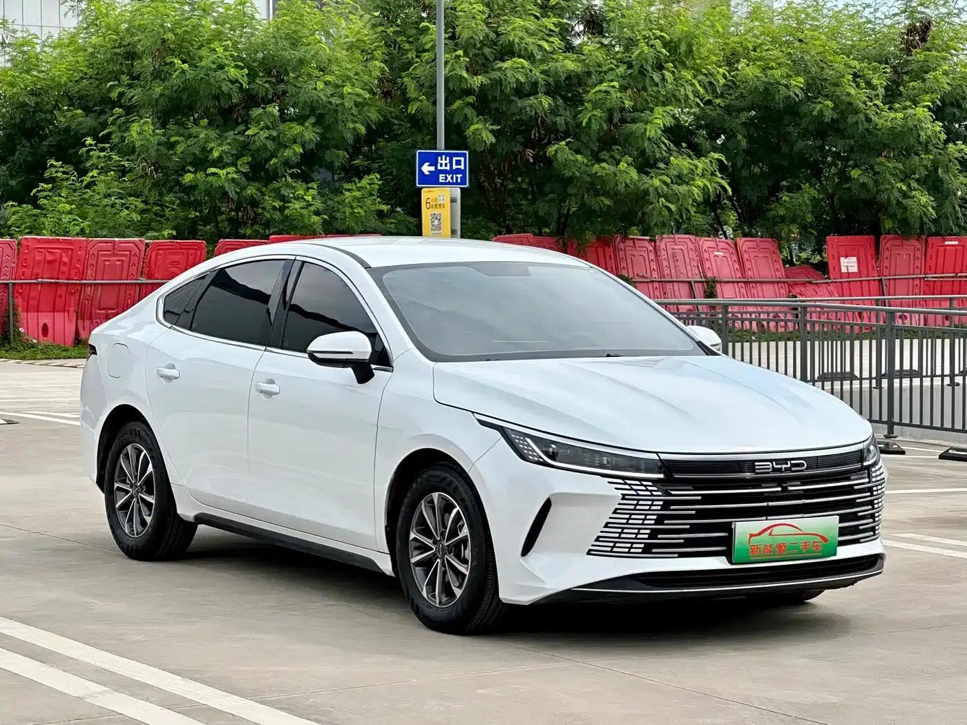 Destroyer 05 2023 Champion Edition DM-i 55KM Luxury — миниатюра 3