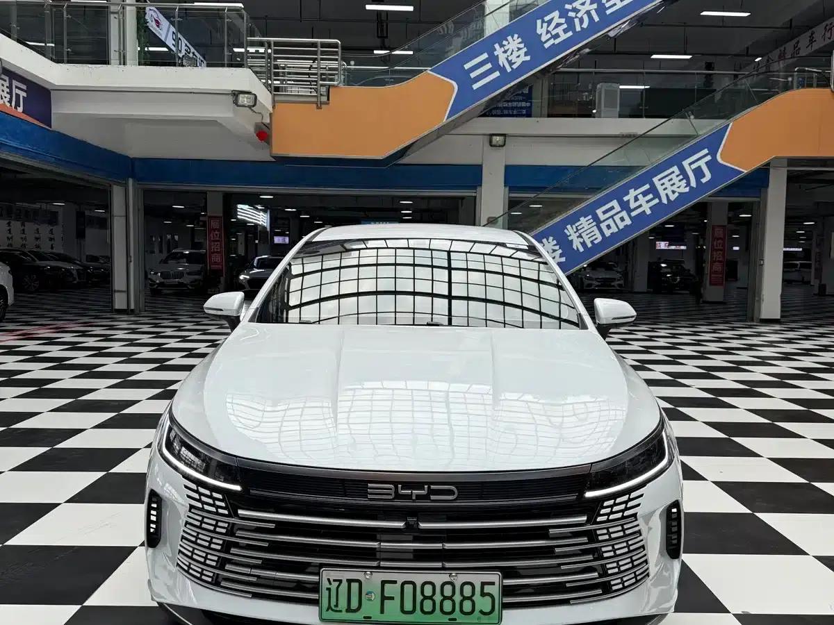 Destroyer 05 2024 Glory Edition DM-i 55KM Luxury Model — миниатюра 2