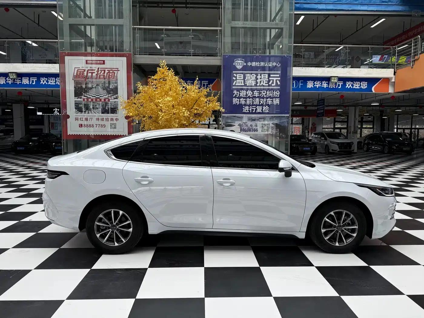 Destroyer 05 2024 Glory Edition DM-i 55KM Luxury Model — миниатюра 7