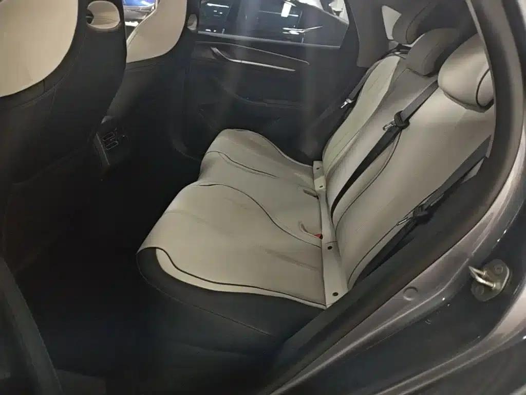 Destroyer 05 2023 Champion Edition DM-i 55KM Luxury — миниатюра 17