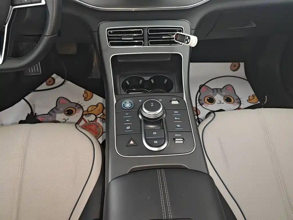 Destroyer 05 2024 Glory Edition DM-i 55KM Luxury Model — миниатюра 14