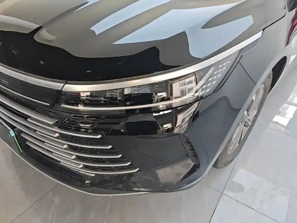 Destroyer 05 2024 Glory Edition DM-i 55KM Luxury Model — миниатюра 24
