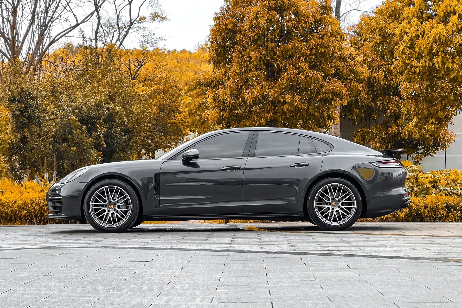 Porsche Panamera 2021 Panamera 2.9T — миниатюра 4
