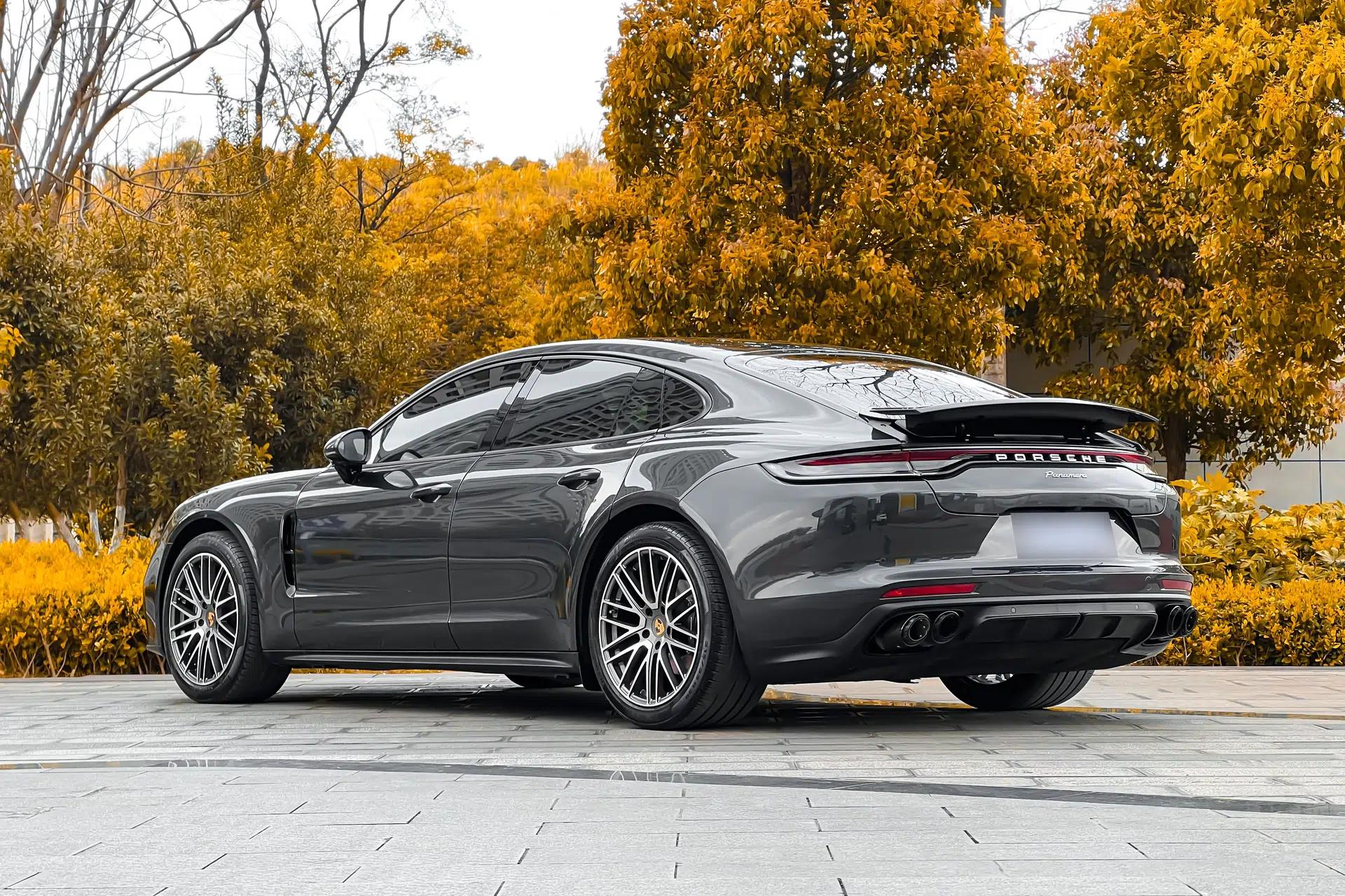 Porsche Panamera 2021 Panamera 2.9T — миниатюра 6