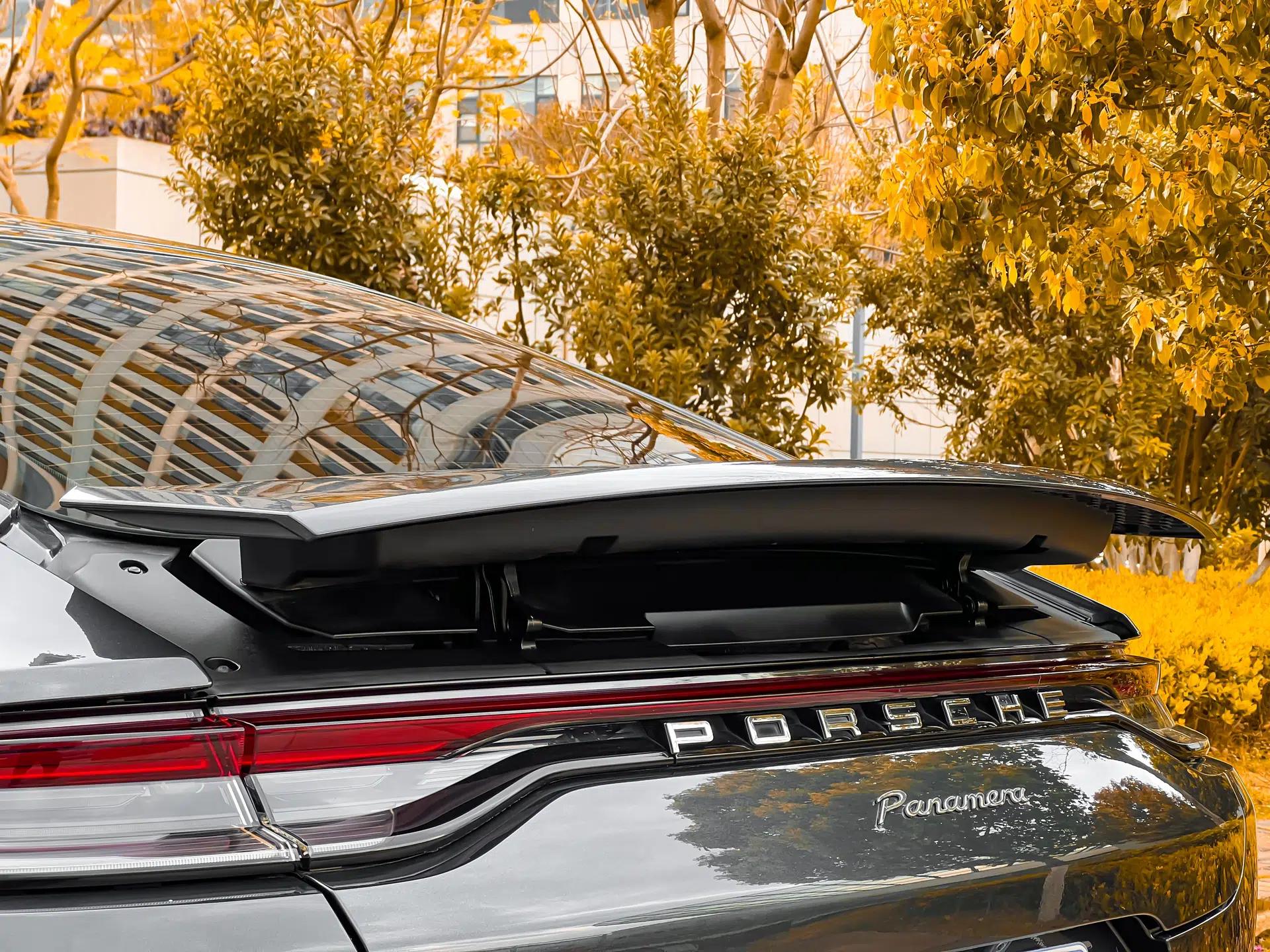 Porsche Panamera 2021 Panamera 2.9T — миниатюра 8