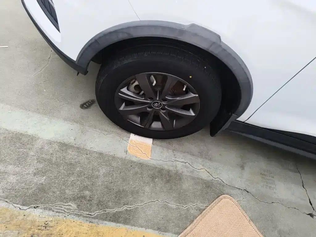 Yuan New Energy 2019 EV535 Intelligent Leading Edition — миниатюра 23
