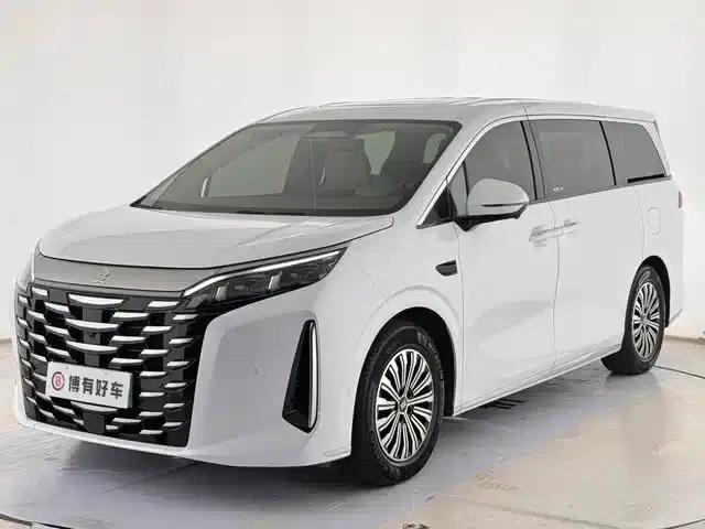 Summer 2025 DM-i 1.5T 180km Excellent Edition