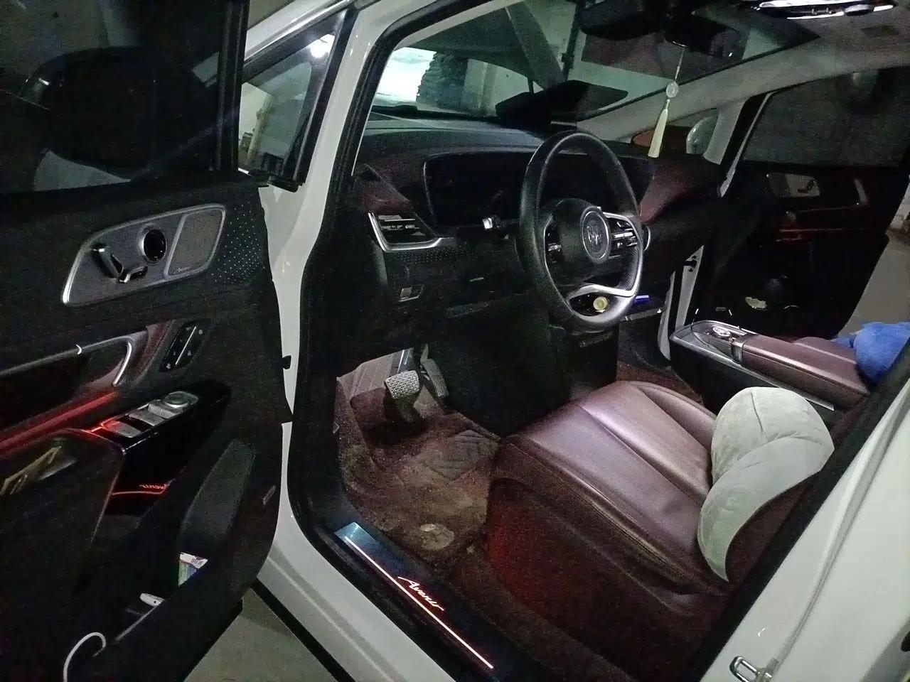 Buick Century 2023 2.0T Seven-Seater Yinshi Edition — миниатюра 16