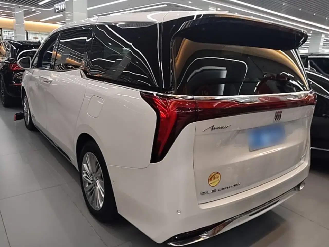 Buick Century 2023 2.0T Six-Seater Yinshi Edition — миниатюра 4