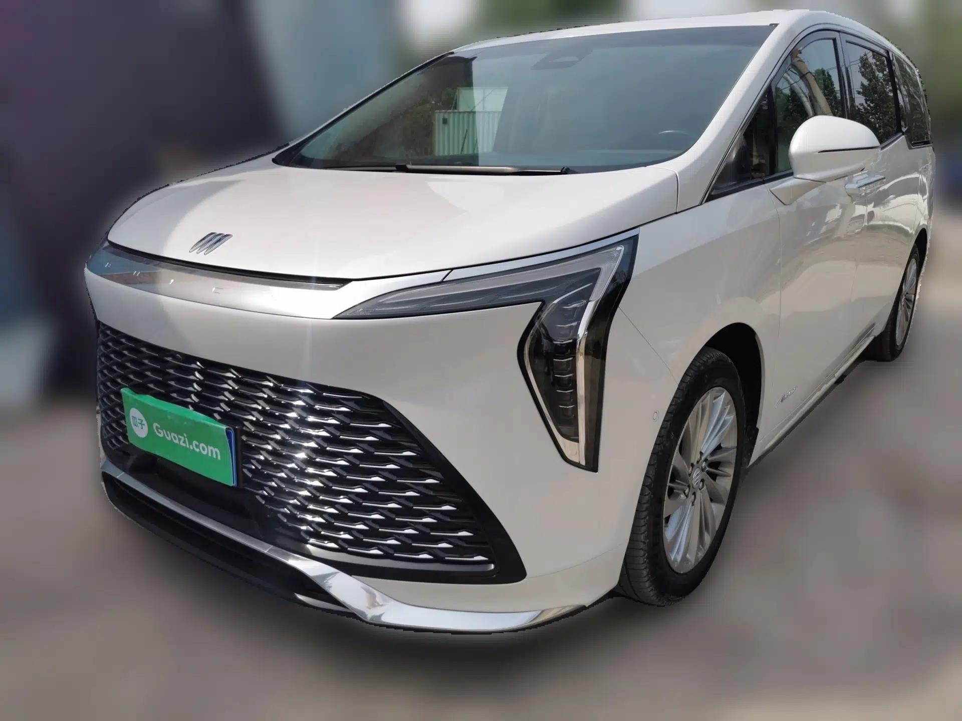 Buick Century 2023 2.0T Six-Seater Yinshi Edition — миниатюра 1