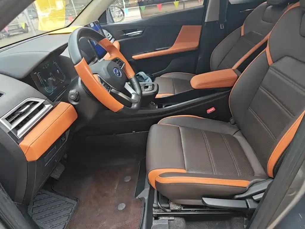 BYD e2 2021 Luxury Edition — миниатюра 15