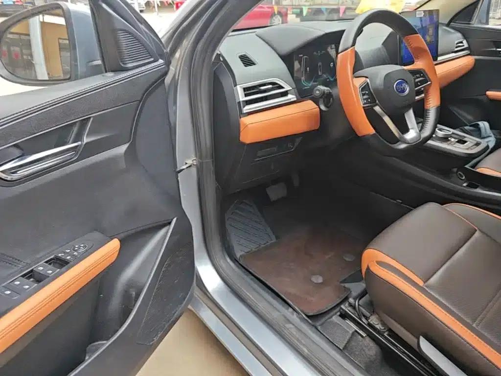 BYD e2 2021 Luxury Edition — миниатюра 16