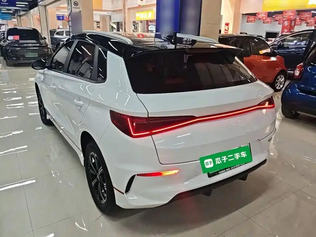 BYD e2 2021 Premium Edition — миниатюра 5