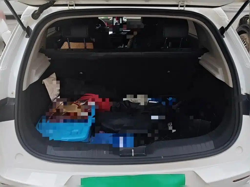 BYD e2 2019 Long Range Edition, Luxury Model — миниатюра 10