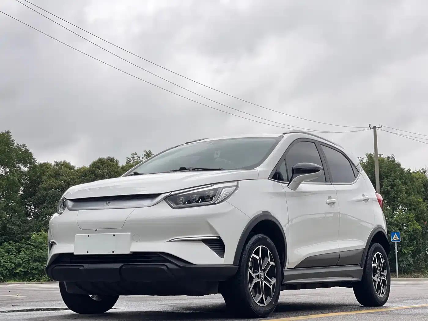 Yuan Pro 2021 401KM Luxury Edition — миниатюра 1