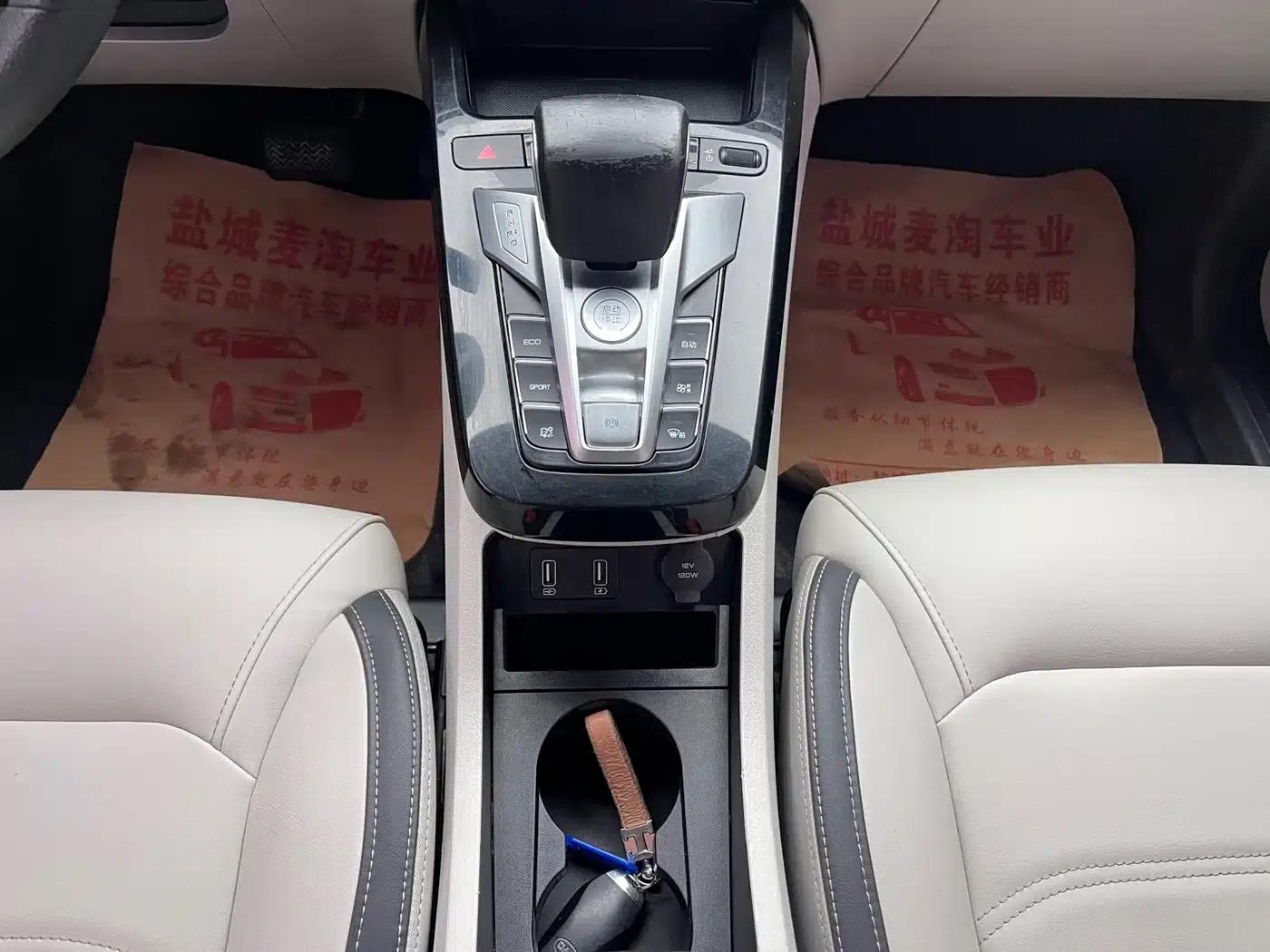 Yuan Pro 2021 401KM Luxury Edition — миниатюра 12
