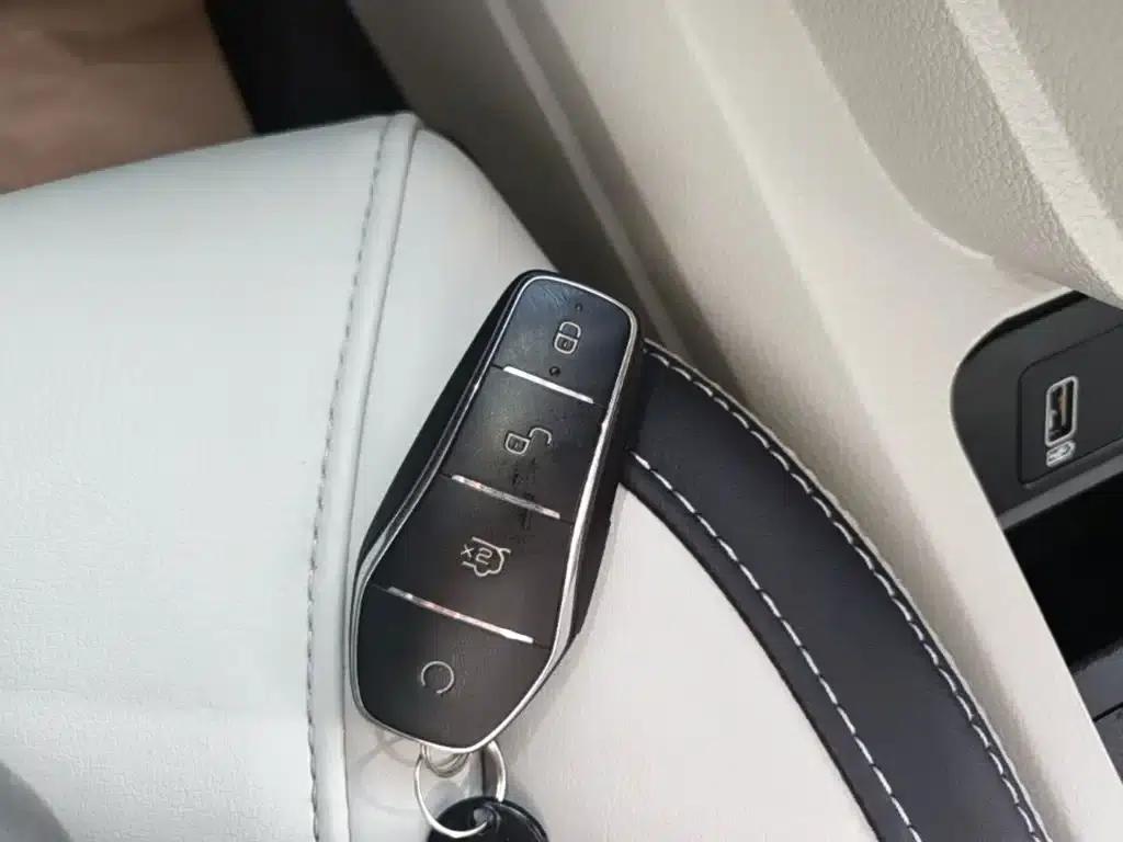 Yuan Pro 2021 401KM Luxury Edition — миниатюра 9