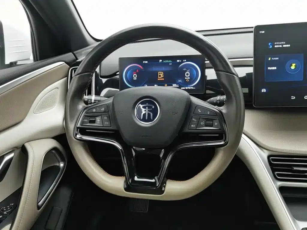 Song Pro New Energy 2024 Glory Edition DM-i 110KM Superior Model — миниатюра 11